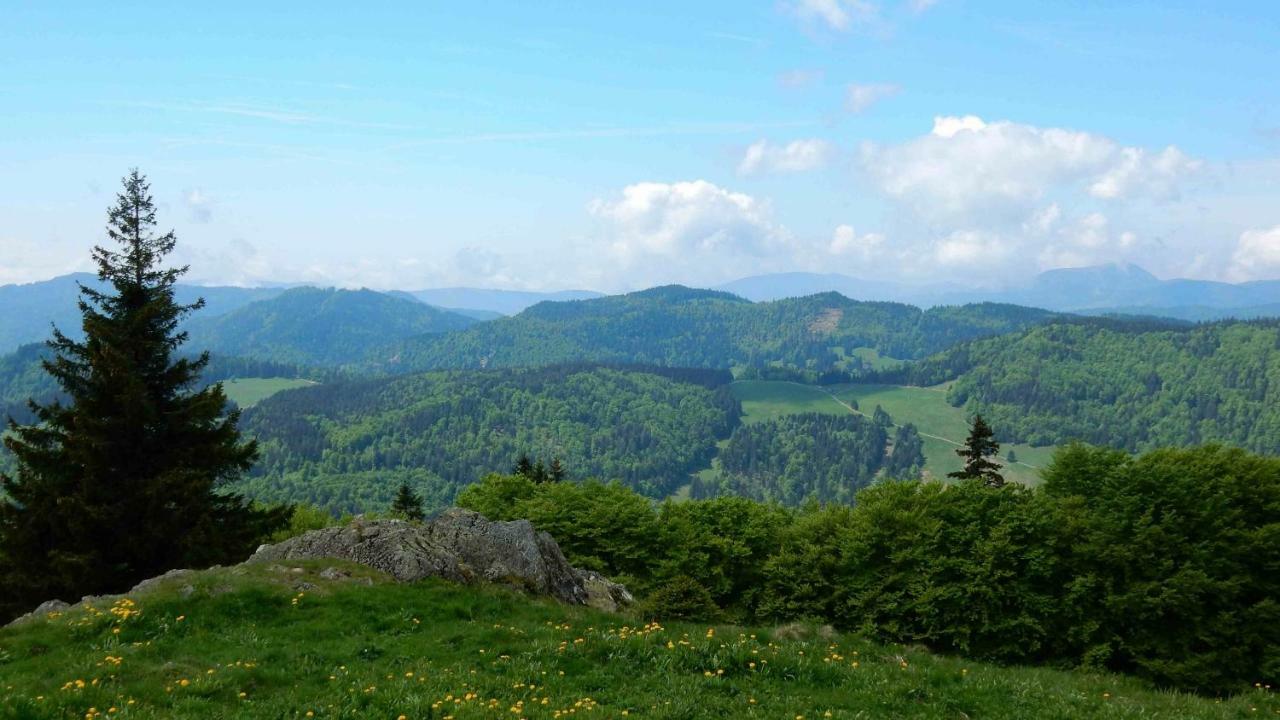 WEITBLICK entspannen - wohlfühlen - aktiv erholen Elzach Exterior foto